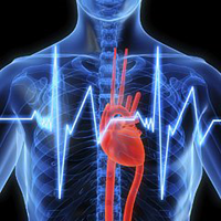 cardio for your heart