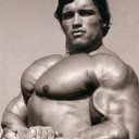 arnold chest muscles