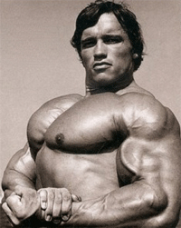 arnold chest muscles