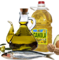 essential fatty acids