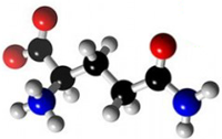 L-Glutamine Molecule