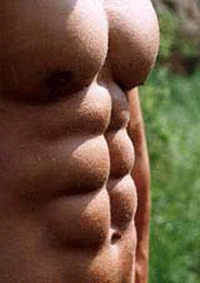 lean muscle abs