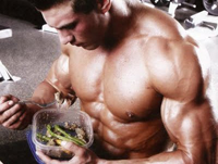 Muscle building diet