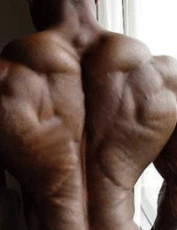 weight lifting back