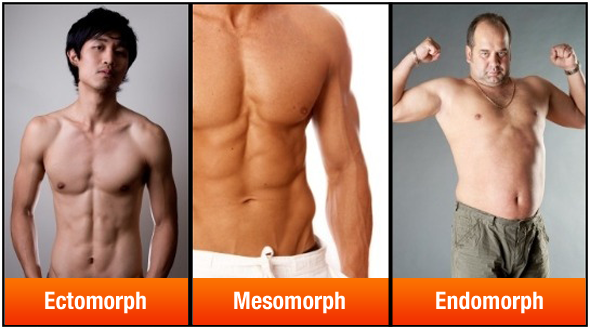 Somantotype Men