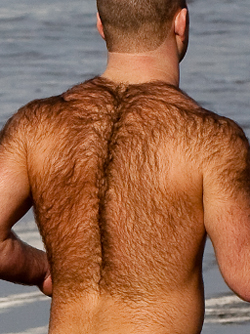 hairy-back-steroids
