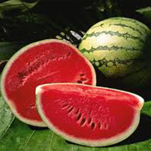 WaterMellon-Great-Post-workout-Carb-To-Gain-Muscle