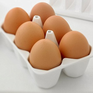 Whole-Eggs-To-Build-Muscles-Fast-At-A-Few-Dollars