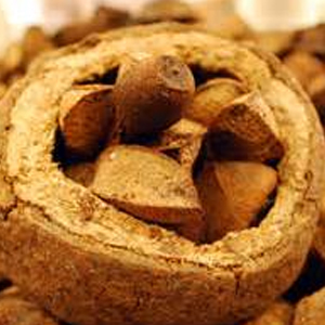 Brazil-Nuts-Most-Caloric-Healthy-Fats-for-Muscle-Building