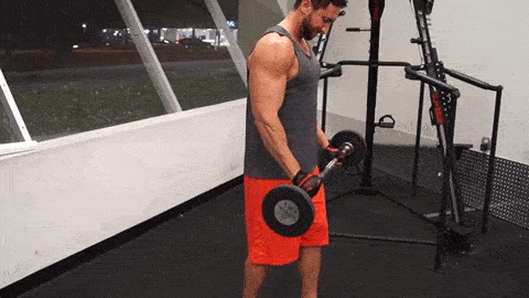 Reverse Grip ez Bar Curl