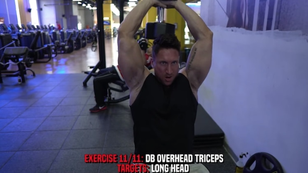 dumbbell overhead triceps press